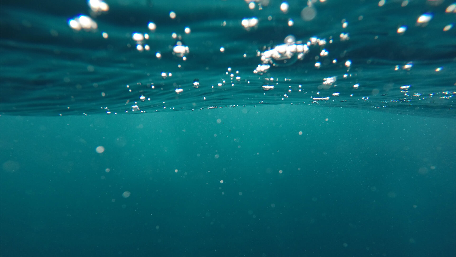 surface de la mer avec des bulles